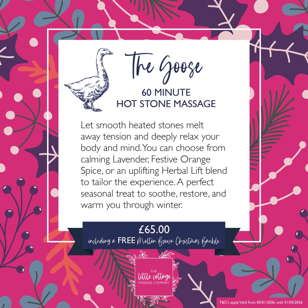A Christmas voucher called the Goose